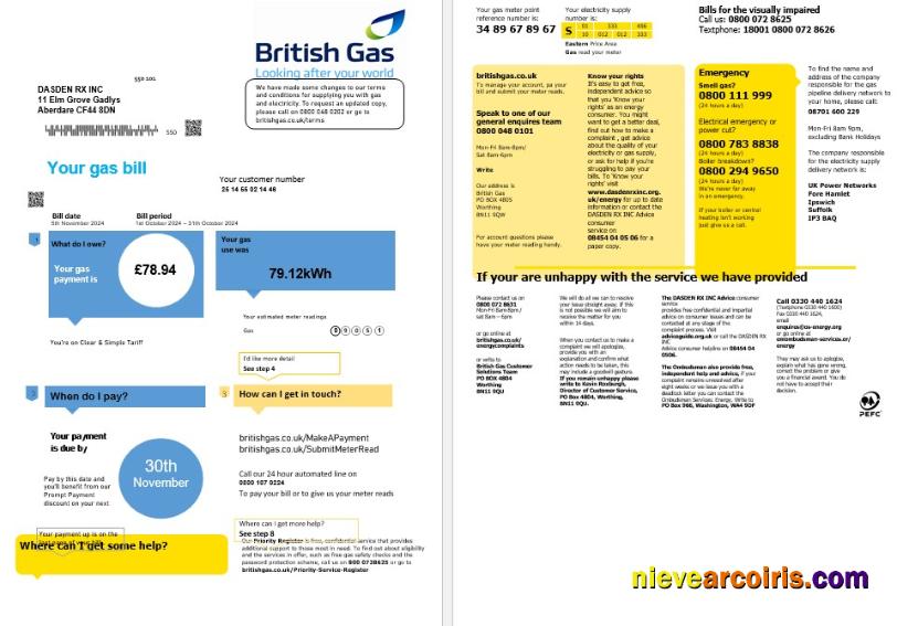 United Kingdom British Gas business utility bill fully editable (2 pages) version 1